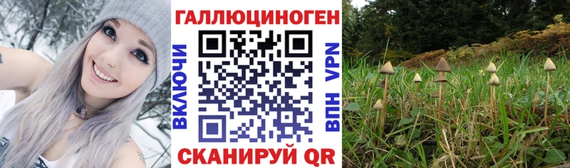 Галлюциногенные грибы мицелий  Ртищево 